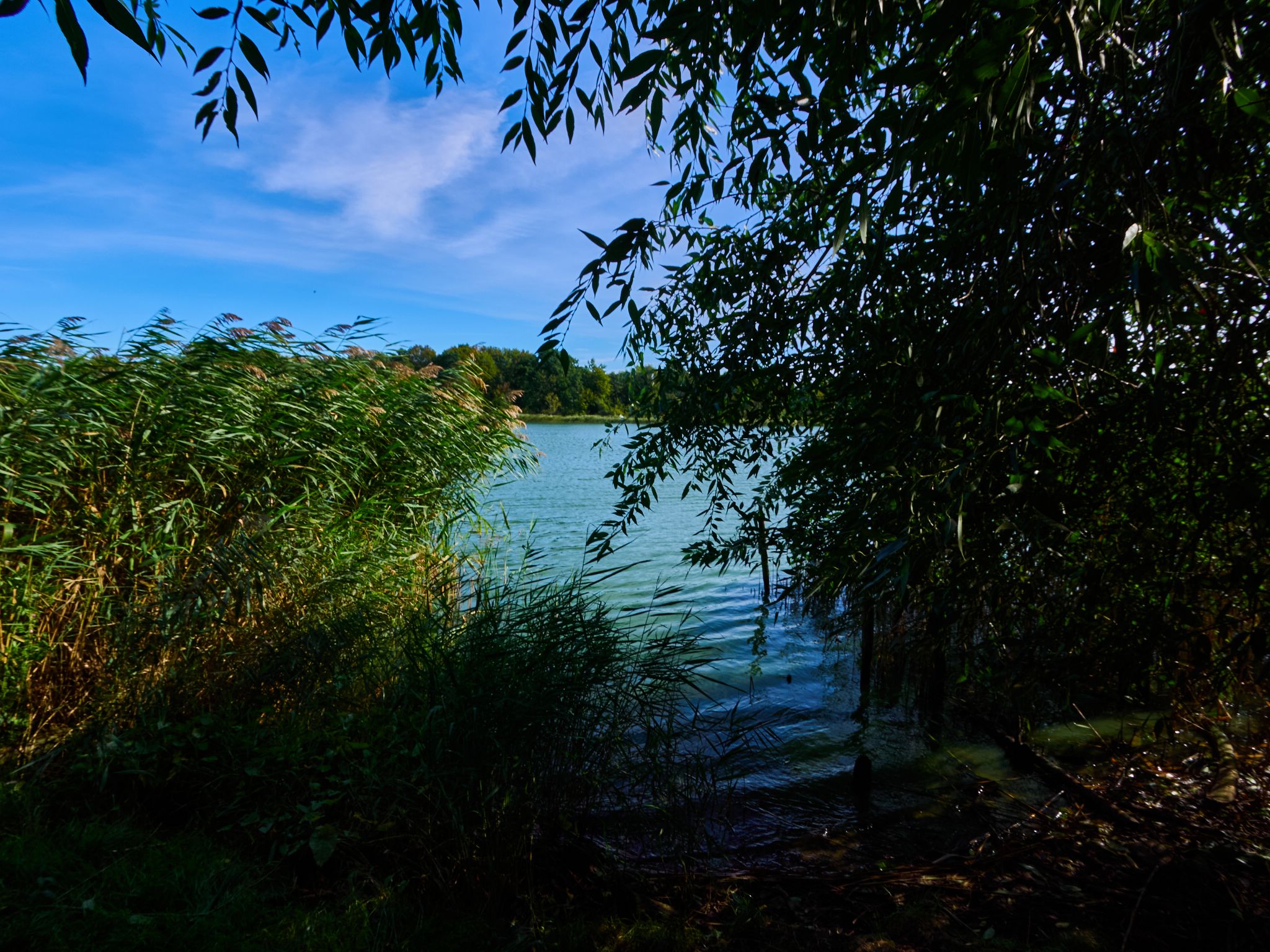 Landschaft 2024  1776 Usedom